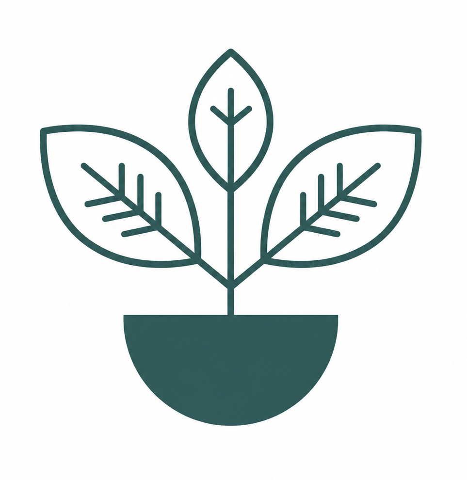 Corinne Lacombe — Naturopathe Biscarrosse & Sanguinet